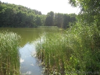 Продам добротный дом - <ro>Изображение</ro><ru>Изображение</ru> #9, <ru>Объявление</ru> #897517