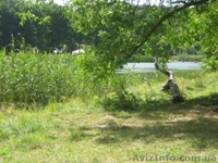 Продам добротный дом - <ro>Изображение</ro><ru>Изображение</ru> #10, <ru>Объявление</ru> #897517