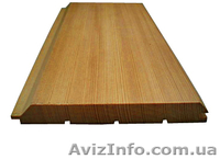 Лиственница сибирская Черкассы Украина - <ro>Изображение</ro><ru>Изображение</ru> #6, <ru>Объявление</ru> #153154