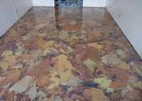 Наливные полы, декоративные, с 3D эффектом, цветные, промышленные полы - <ro>Изображение</ro><ru>Изображение</ru> #3, <ru>Объявление</ru> #902117