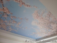 Натяжные потолки из Франции - <ro>Изображение</ro><ru>Изображение</ru> #3, <ru>Объявление</ru> #1003555