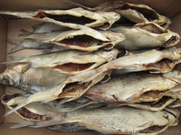 Продам лещ вяленный,  бычок вяленный - <ro>Изображение</ro><ru>Изображение</ru> #4, <ru>Объявление</ru> #1022383