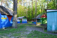 База отдыха на Днепре «Уикенд», Сокирно  - <ro>Изображение</ro><ru>Изображение</ru> #2, <ru>Объявление</ru> #1080955