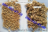 Продам сепаратор зерна (чистка/калібровка) IСМ-10/5 ТМ ТОР - <ro>Изображение</ro><ru>Изображение</ru> #8, <ru>Объявление</ru> #1230952