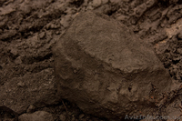 Энергетическая – Инвестиционная Компания предлагает бурый уголь - <ro>Изображение</ro><ru>Изображение</ru> #1, <ru>Объявление</ru> #1295249