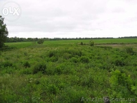 Продам в живописном месте участок Нехворощ, Корсунь-шевченківський р-н  - <ro>Изображение</ro><ru>Изображение</ru> #3, <ru>Объявление</ru> #1007128