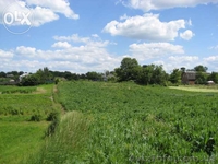 Продам в живописном месте участок Нехворощ, Корсунь-шевченківський р-н  - <ro>Изображение</ro><ru>Изображение</ru> #2, <ru>Объявление</ru> #1007128