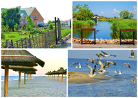 Цены на жилье и отдых в Бердянске, частный сектор Гостевой дом Светлана - <ro>Изображение</ro><ru>Изображение</ru> #1, <ru>Объявление</ru> #1439357