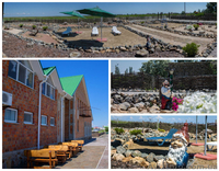 Цены на жилье и отдых в Бердянске, частный сектор Гостевой дом Светлана - <ro>Изображение</ro><ru>Изображение</ru> #2, <ru>Объявление</ru> #1439357