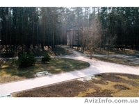 Продам санаторий на берегу Днепра (10 км от г. Черкассы). - <ro>Изображение</ro><ru>Изображение</ru> #5, <ru>Объявление</ru> #1468433