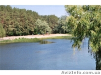 Продам санаторий на берегу Днепра (10 км от г. Черкассы). - <ro>Изображение</ro><ru>Изображение</ru> #6, <ru>Объявление</ru> #1468433