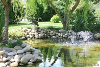 Продажа шикарного поместья, расположенного в пригороде Черкасс. - <ro>Изображение</ro><ru>Изображение</ru> #6, <ru>Объявление</ru> #1460300