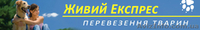 Перевозка животных по Украине и за границу - <ro>Изображение</ro><ru>Изображение</ru> #1, <ru>Объявление</ru> #1495558
