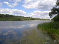 Продаж елітного 2-пов.котеджа біля Дніпра із лазнею  - <ro>Изображение</ro><ru>Изображение</ru> #5, <ru>Объявление</ru> #1384615