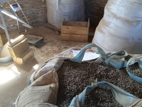 Деревообрабатывающее предприятие, Цех изготовления древесных пелет и брикет  - <ro>Изображение</ro><ru>Изображение</ru> #6, <ru>Объявление</ru> #1607825