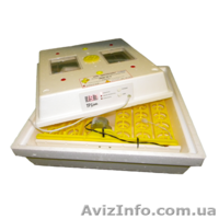 Инкубатор Лелека купить - <ro>Изображение</ro><ru>Изображение</ru> #3, <ru>Объявление</ru> #1616360