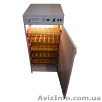 Инкубатор Лелека купить - <ro>Изображение</ro><ru>Изображение</ru> #4, <ru>Объявление</ru> #1616360