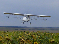 Агропослуги Агродронів літаків Бекас. - <ro>Изображение</ro><ru>Изображение</ru> #2, <ru>Объявление</ru> #1606535