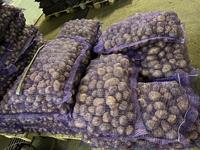Картофель оптом!!! - <ro>Изображение</ro><ru>Изображение</ru> #3, <ru>Объявление</ru> #1674096