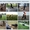 Дрессировка собак Черкассы - Украина #154719