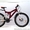 Продам  подростковый  велосипед Черкассы - <ro>Изображение</ro><ru>Изображение</ru> #3, <ru>Объявление</ru> #207964