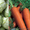 Продам овочі: моркву,  капусту. #565946