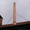 Дымоходы из нержавеющей стали - <ro>Изображение</ro><ru>Изображение</ru> #3, <ru>Объявление</ru> #610077