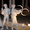 Живые скульптуры Джайра Черкассы - <ro>Изображение</ro><ru>Изображение</ru> #2, <ru>Объявление</ru> #650893