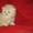 Продаются персидские котята - <ro>Изображение</ro><ru>Изображение</ru> #3, <ru>Объявление</ru> #686554