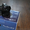 Фотоаппарат Canon PowerShot S5 IS, сумка, 1300 грн. срочно!!!  - <ro>Изображение</ro><ru>Изображение</ru> #3, <ru>Объявление</ru> #755190