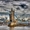 Туроператор "Супутник" - <ro>Изображение</ro><ru>Изображение</ru> #10, <ru>Объявление</ru> #846474