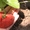 Cаженцы  садовой земляники много сортов - <ro>Изображение</ro><ru>Изображение</ru> #3, <ru>Объявление</ru> #855737