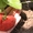Рассада клубники однократного плодоношения  Бениция и другие сорта - <ro>Изображение</ro><ru>Изображение</ru> #1, <ru>Объявление</ru> #1044271