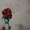 Розы ручной работы - <ro>Изображение</ro><ru>Изображение</ru> #2, <ru>Объявление</ru> #1076884