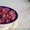 Саженцы малины Таруса (малиновое дерево) - <ro>Изображение</ro><ru>Изображение</ru> #2, <ru>Объявление</ru> #1142414