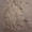  Икона Богородица с Исусом Христом и двумя ангелами - <ro>Изображение</ro><ru>Изображение</ru> #2, <ru>Объявление</ru> #1351717