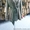 Норковая шуба халат распродажа - <ro>Изображение</ro><ru>Изображение</ru> #3, <ru>Объявление</ru> #1573769