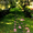 Ландшафтный дизайн Черкассы "Мастерская садовых искусств" - <ro>Изображение</ro><ru>Изображение</ru> #1, <ru>Объявление</ru> #1608804