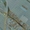 Продажа земли коммерческого назначения под трассой Киев-Одесса возле Умани - <ro>Изображение</ro><ru>Изображение</ru> #2, <ru>Объявление</ru> #1708616