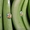 фрукты бананы продам - <ro>Изображение</ro><ru>Изображение</ru> #2, <ru>Объявление</ru> #329810