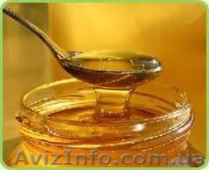 Продам мед урожая 2011 года - <ro>Изображение</ro><ru>Изображение</ru> #1, <ru>Объявление</ru> #370082
