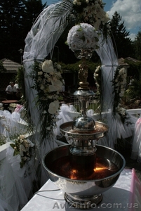 Шоколадный фонтан, фонтан для шампанского, фруктовая пальма, аренда. - <ro>Изображение</ro><ru>Изображение</ru> #5, <ru>Объявление</ru> #622285