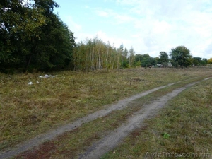 Участок возле леса 10 км от Черкасс. - <ro>Изображение</ro><ru>Изображение</ru> #1, <ru>Объявление</ru> #657018