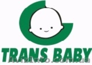 Детские коляски Trans baby продажа оптом и в розницу - <ro>Изображение</ro><ru>Изображение</ru> #1, <ru>Объявление</ru> #675746