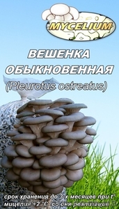 Семена грибов, споры грибов, мицелий вешенки, шампиньона Недорого! - <ro>Изображение</ro><ru>Изображение</ru> #2, <ru>Объявление</ru> #736222