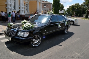 Свадебное авто не дорого - <ro>Изображение</ro><ru>Изображение</ru> #1, <ru>Объявление</ru> #931659