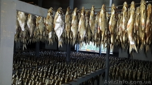 Продажа вяленой рыбы. цена договорная. - <ro>Изображение</ro><ru>Изображение</ru> #1, <ru>Объявление</ru> #930555