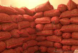 Грецкий орех оптом бойный!