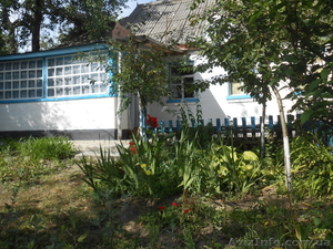 Продам дом с землей, под Каневом - <ro>Изображение</ro><ru>Изображение</ru> #5, <ru>Объявление</ru> #1011036