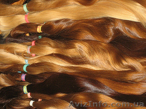 Дорого Покупаю Волосы